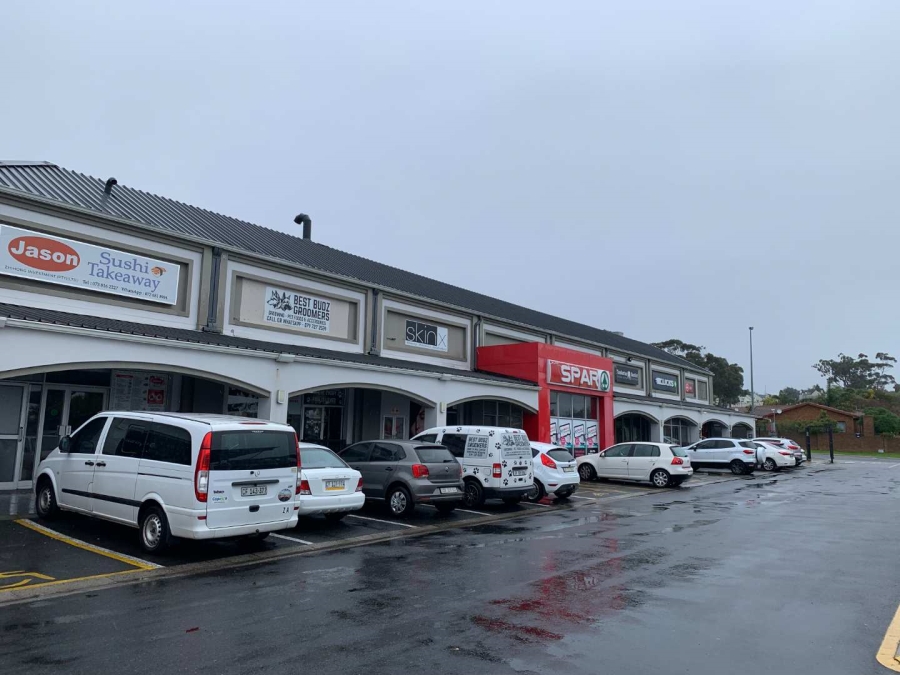 To Let commercial Property for Rent in Sonstraal Western Cape